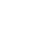 CHAS Elite